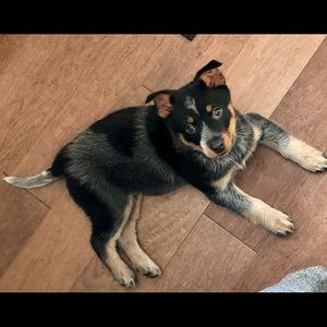 Meet your Posher, Melinda